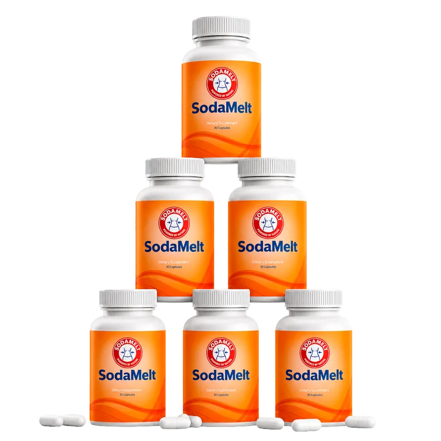 6 Bottles of SodaMelt